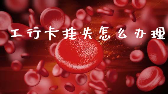工行卡挂失怎么办理_https://wap.hpmsj.cn_外汇汇率_第1张