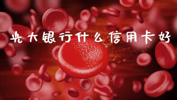 光大银行什么信用卡好_https://wap.hpmsj.cn_债券投资_第1张
