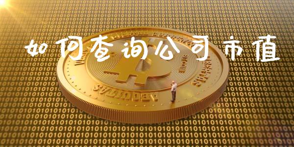 如何查询公司市值_https://wap.hpmsj.cn_外汇汇率_第1张