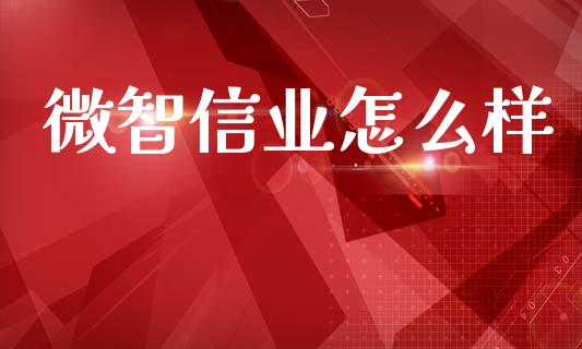 微智信业怎么样_https://wap.hpmsj.cn_债券投资_第1张
