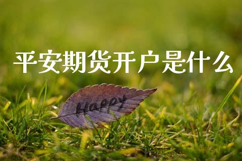 平安期货开户是什么_https://wap.hpmsj.cn_外汇汇率_第1张