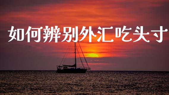 如何辨别外汇吃头寸_https://wap.hpmsj.cn_基金分析_第1张