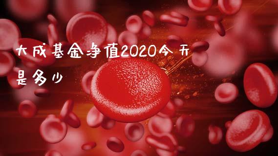 大成基金净值2O2O今天是多少_https://wap.hpmsj.cn_财经时评_第1张