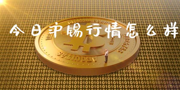 今日沪锡行情怎么样_https://wap.hpmsj.cn_债券投资_第1张