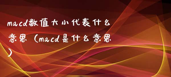 macd数值大小代表什么意思（macd是什么意思）_https://wap.hpmsj.cn_财经时评_第1张
