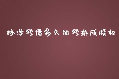 林洋转债多久能转换成股权_https://wap.hpmsj.cn_金融机构_第1张