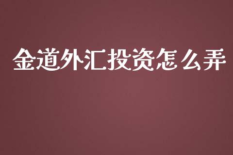 金道外汇投资怎么弄_https://wap.hpmsj.cn_基金分析_第1张