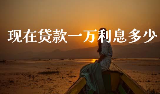 现在贷款一万利息多少_https://wap.hpmsj.cn_外汇汇率_第1张