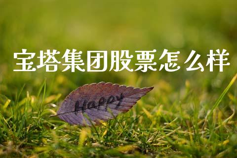 宝塔集团股票怎么样_https://wap.hpmsj.cn_基金分析_第1张