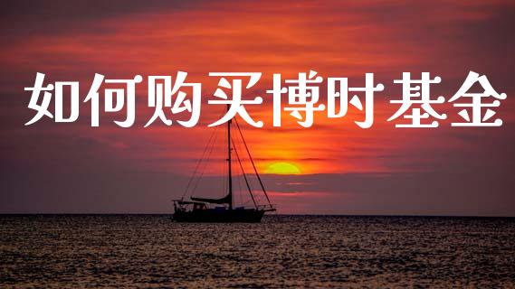 如何购买博时基金_https://wap.hpmsj.cn_外汇汇率_第1张