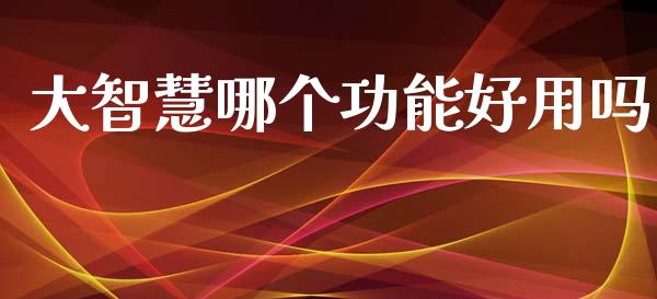 大智慧哪个功能好用吗_https://wap.hpmsj.cn_债券投资_第1张