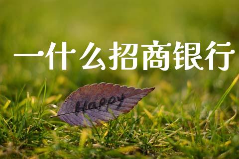 一什么招商银行_https://wap.hpmsj.cn_基金分析_第1张