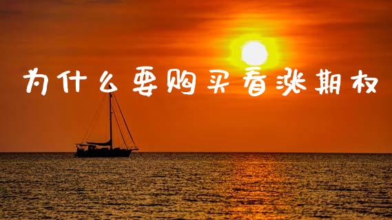为什么要购买看涨期权_债券投资_第1张_财经时评_基金分析_期货交易_金融机构_外汇汇率_债券投资 为什么要购买看涨期权_https://wap.hpmsj.cn_债券投资_第1张