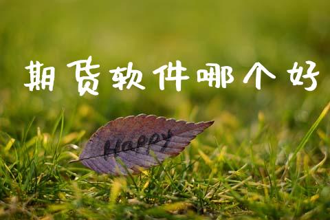 期货软件哪个好_https://wap.hpmsj.cn_外汇汇率_第1张
