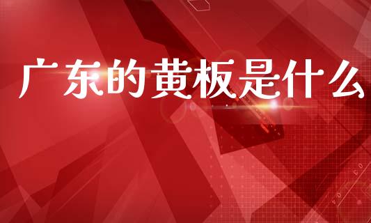 广东的黄板是什么_https://wap.hpmsj.cn_债券投资_第1张