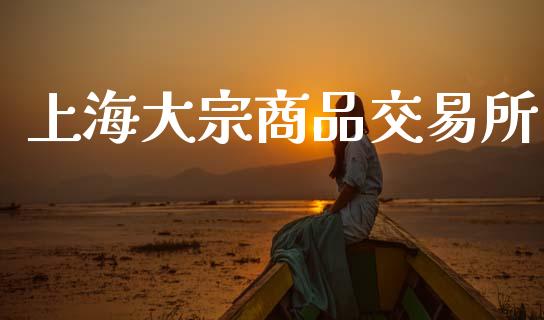 上海大宗商品交易所_https://wap.hpmsj.cn_财经时评_第1张