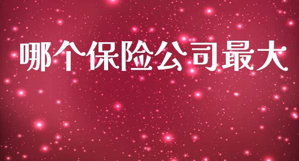 哪个保险公司最大_https://wap.hpmsj.cn_债券投资_第1张