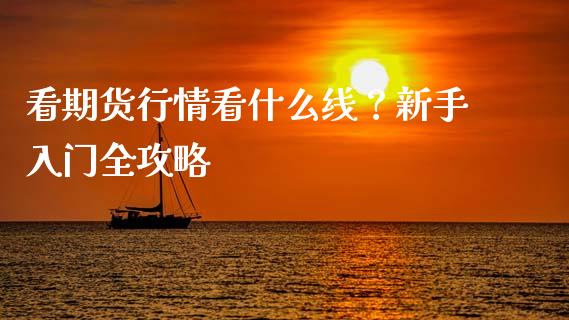 看期货行情看什么线？新手入门全攻略_https://wap.hpmsj.cn_债券投资_第1张