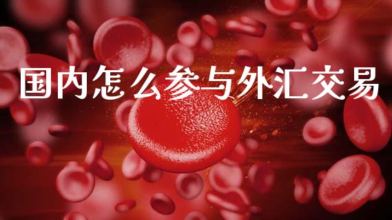 国内怎么参与外汇交易_https://wap.hpmsj.cn_期货交易_第1张