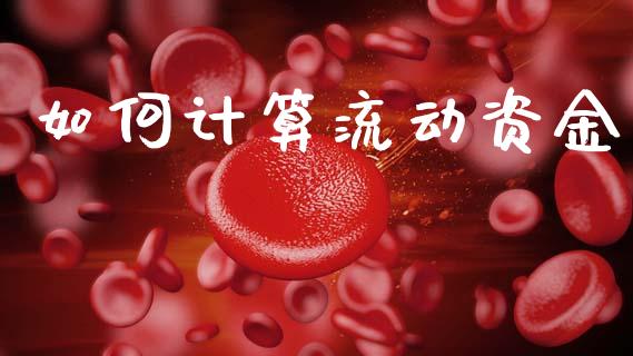 如何计算流动资金_https://wap.hpmsj.cn_金融机构_第1张