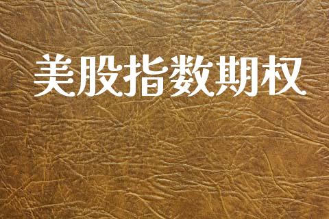 美股指数期权_https://wap.hpmsj.cn_基金分析_第1张