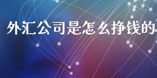 外汇公司是怎么挣钱的_https://wap.hpmsj.cn_金融机构_第1张