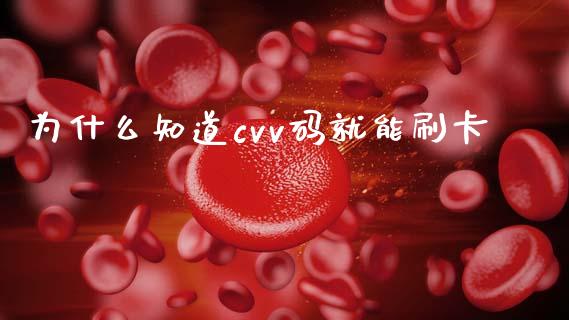 为什么知道cvv码就能刷卡_https://wap.hpmsj.cn_财经时评_第1张
