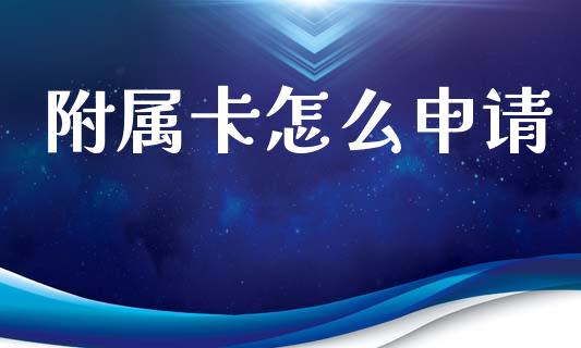 附属卡怎么申请_https://wap.hpmsj.cn_金融机构_第1张