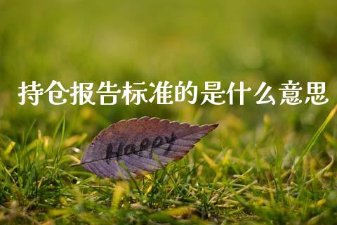 持仓报告标准的是什么意思_基金分析_第1张_财经时评_基金分析_期货交易_金融机构_外汇汇率_债券投资 持仓报告标准的是什么意思_https://wap.hpmsj.cn_基金分析_第1张