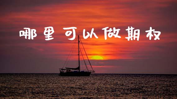 哪里可以做期权_https://wap.hpmsj.cn_金融机构_第1张