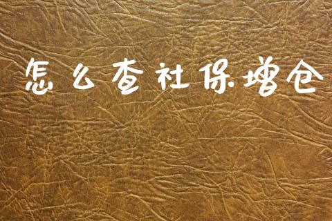 怎么查社保增仓_https://wap.hpmsj.cn_债券投资_第1张