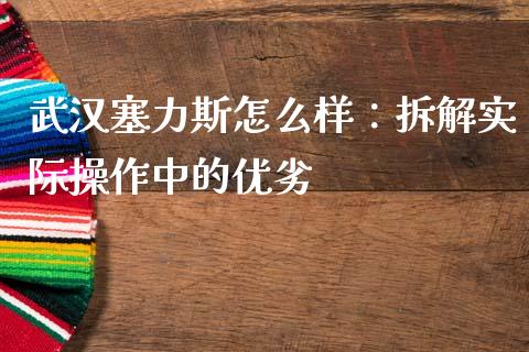 武汉塞力斯怎么样：拆解实际操作中的优劣_https://wap.hpmsj.cn_债券投资_第1张