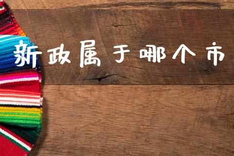 新政属于哪个市_https://wap.hpmsj.cn_外汇汇率_第1张