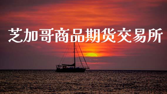 芝加哥商品期货交易所_https://wap.hpmsj.cn_期货交易_第1张