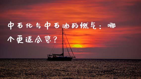 中石化与中石油的燃气：哪个更适合您？_https://wap.hpmsj.cn_财经时评_第1张
