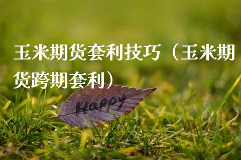 玉米期货套利技巧（玉米期货跨期套利）_https://wap.hpmsj.cn_金融机构_第1张