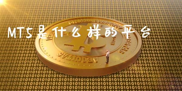 MT5是什么样的平台_https://wap.hpmsj.cn_外汇汇率_第1张