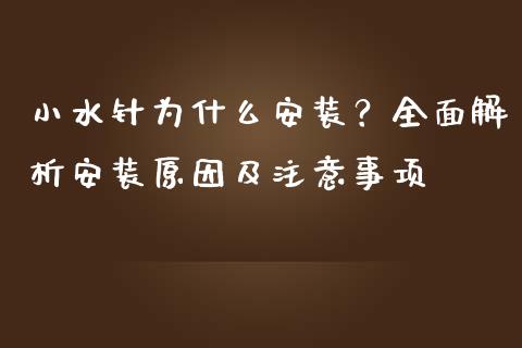 小水针为什么安装？全面解析安装原因及注意事项_https://wap.hpmsj.cn_债券投资_第1张