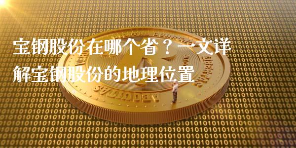 宝钢股份在哪个省？一文详解宝钢股份的地理位置_https://wap.hpmsj.cn_金融机构_第1张