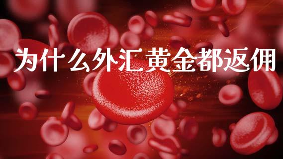 为什么外汇黄金都返佣_https://wap.hpmsj.cn_金融机构_第1张