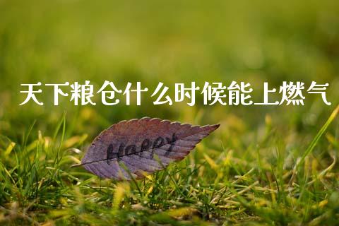 天下粮仓什么时候能上燃气_https://wap.hpmsj.cn_基金分析_第1张