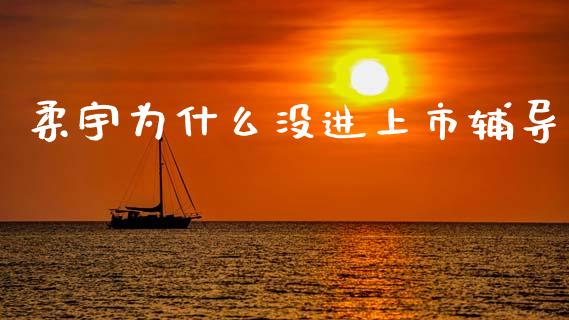 柔宇为什么没进上市辅导_https://wap.hpmsj.cn_基金分析_第1张