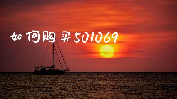 如何购买501069_https://wap.hpmsj.cn_财经时评_第1张