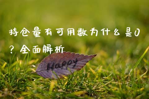 持仓量有可用数为什么是0？全面解析_https://wap.hpmsj.cn_外汇汇率_第1张