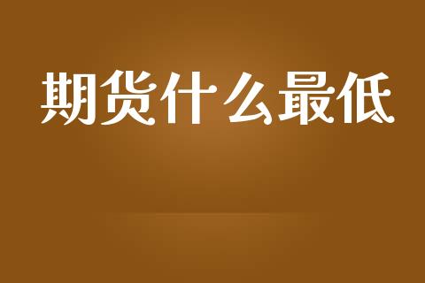 期货什么最低_https://wap.hpmsj.cn_期货交易_第1张