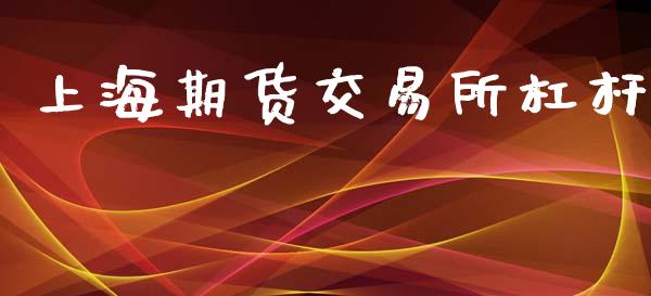 上海期货交易所杠杆_https://wap.hpmsj.cn_金融机构_第1张
