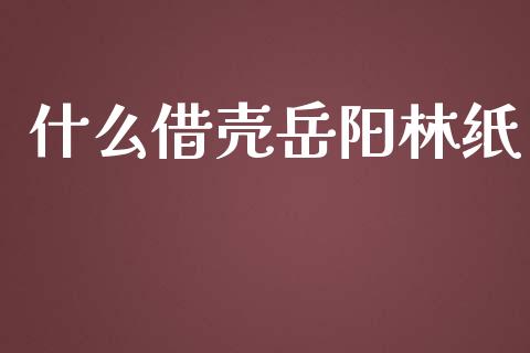 什么借壳岳阳林纸_https://wap.hpmsj.cn_外汇汇率_第1张