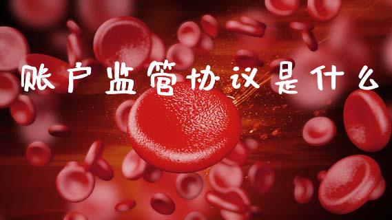 账户监管协议是什么_https://wap.hpmsj.cn_债券投资_第1张