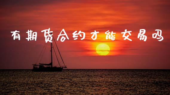 有期货合约才能交易吗_https://wap.hpmsj.cn_外汇汇率_第1张