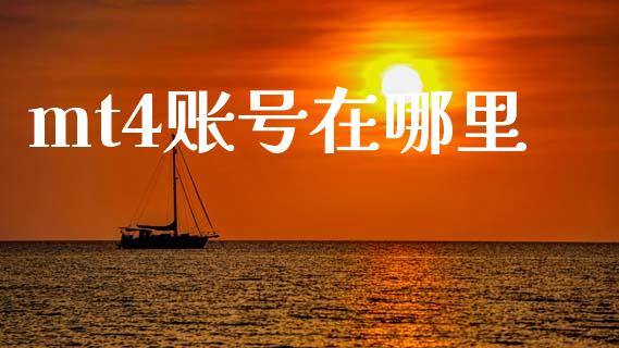 mt4账号在哪里_https://wap.hpmsj.cn_债券投资_第1张